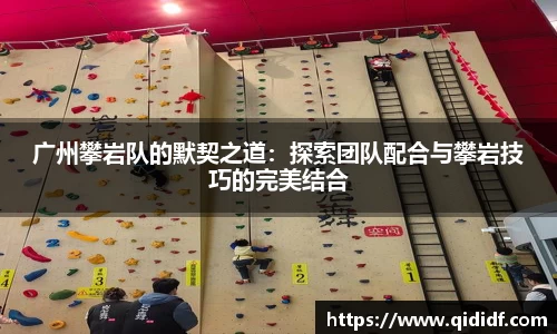 广州攀岩队的默契之道：探索团队配合与攀岩技巧的完美结合