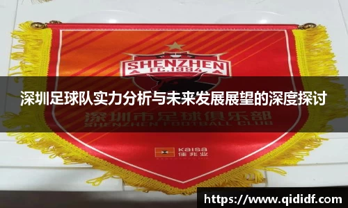 深圳足球队实力分析与未来发展展望的深度探讨
