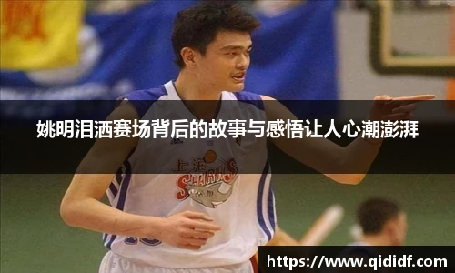 雷竞技官网地址