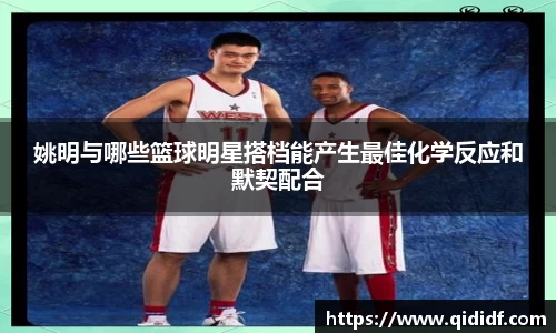 姚明与哪些篮球明星搭档能产生最佳化学反应和默契配合