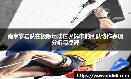 南京攀岩队在极限运动世界杯中的团队协作表现分析与点评