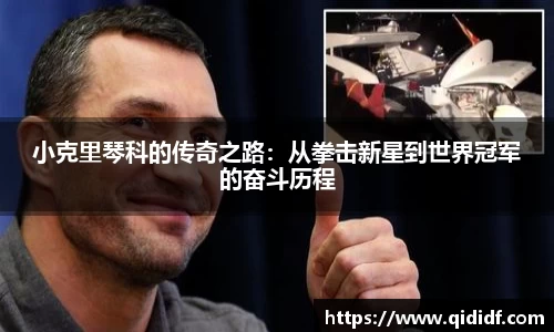 雷竞技官网地址